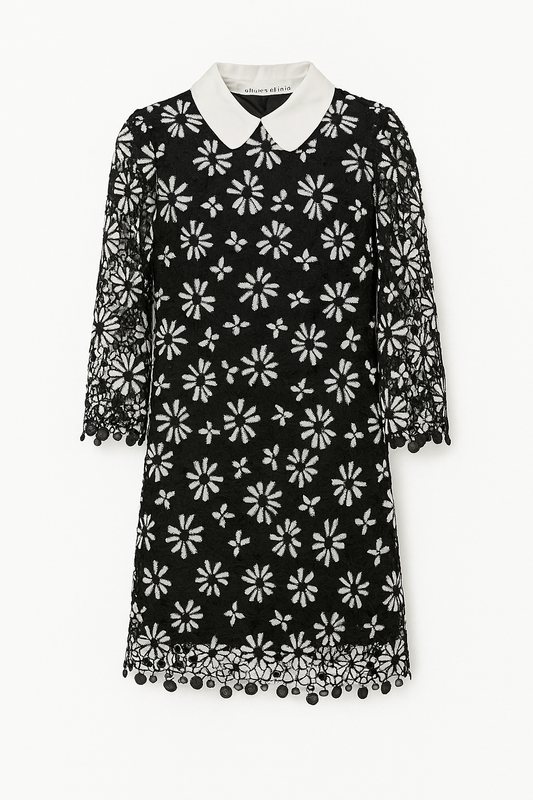 Black Lace Floral Collar Dress
